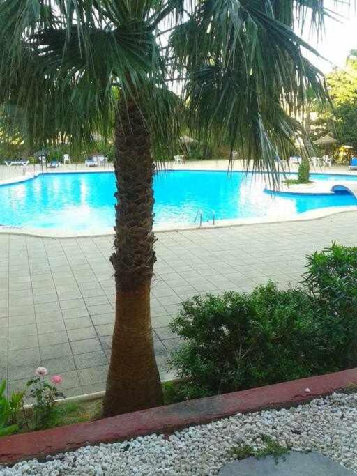 Piso Moderno Con Piscina Siesta 2 Apartment Пуерто де ла Аркудия Екстериор снимка
